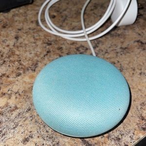 A Google nest! Light blue!